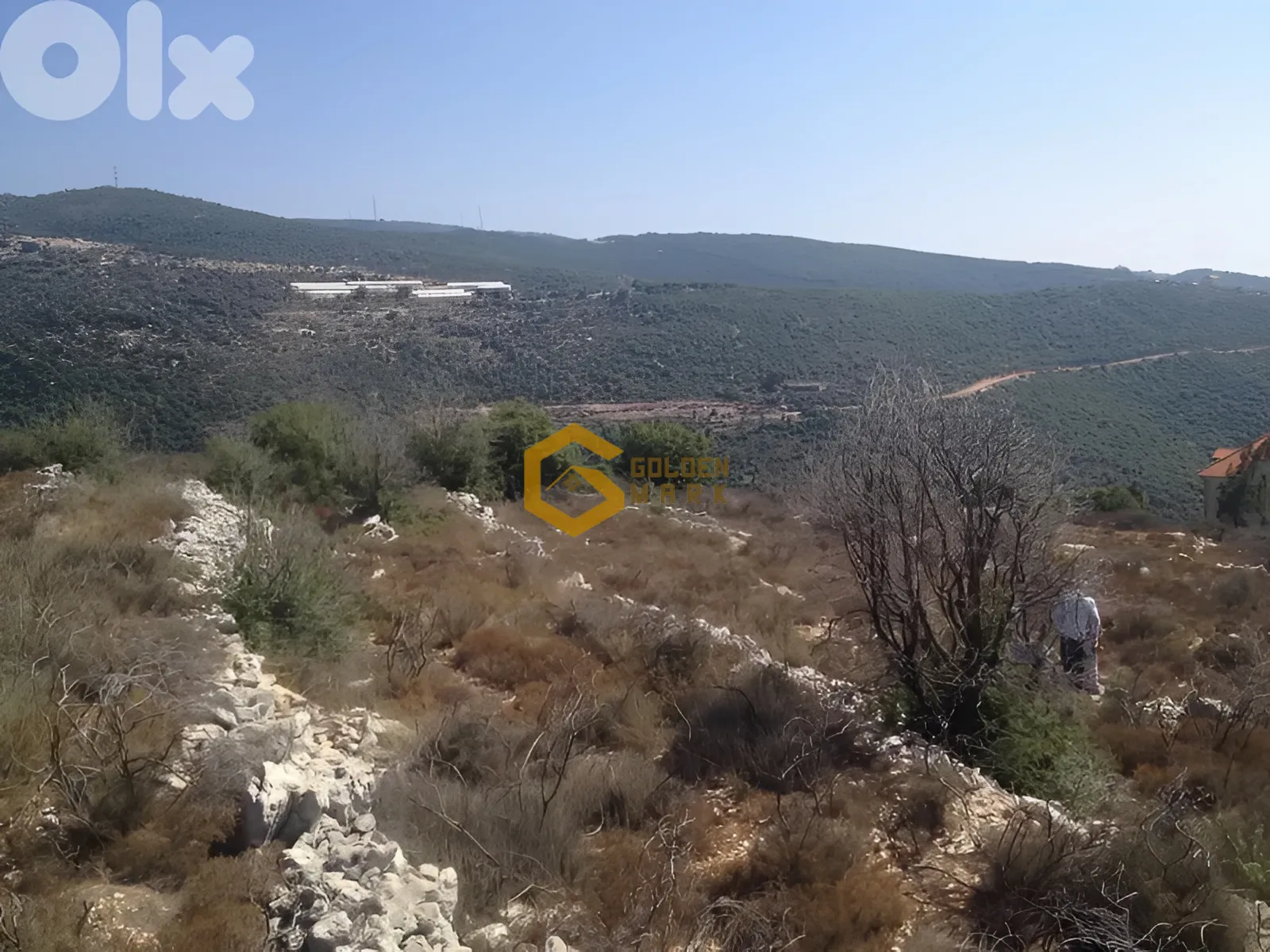 Land for Sale in Aabeidat
