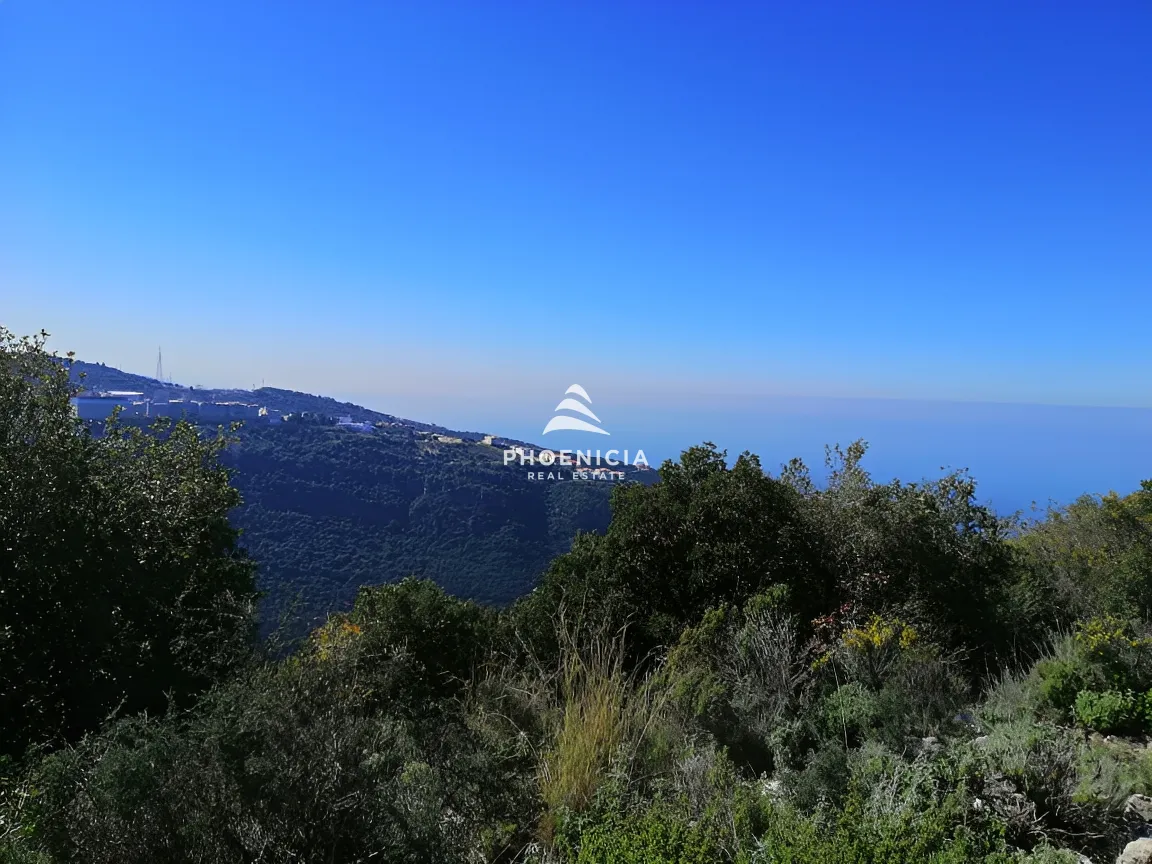 Land for Sale in Blat