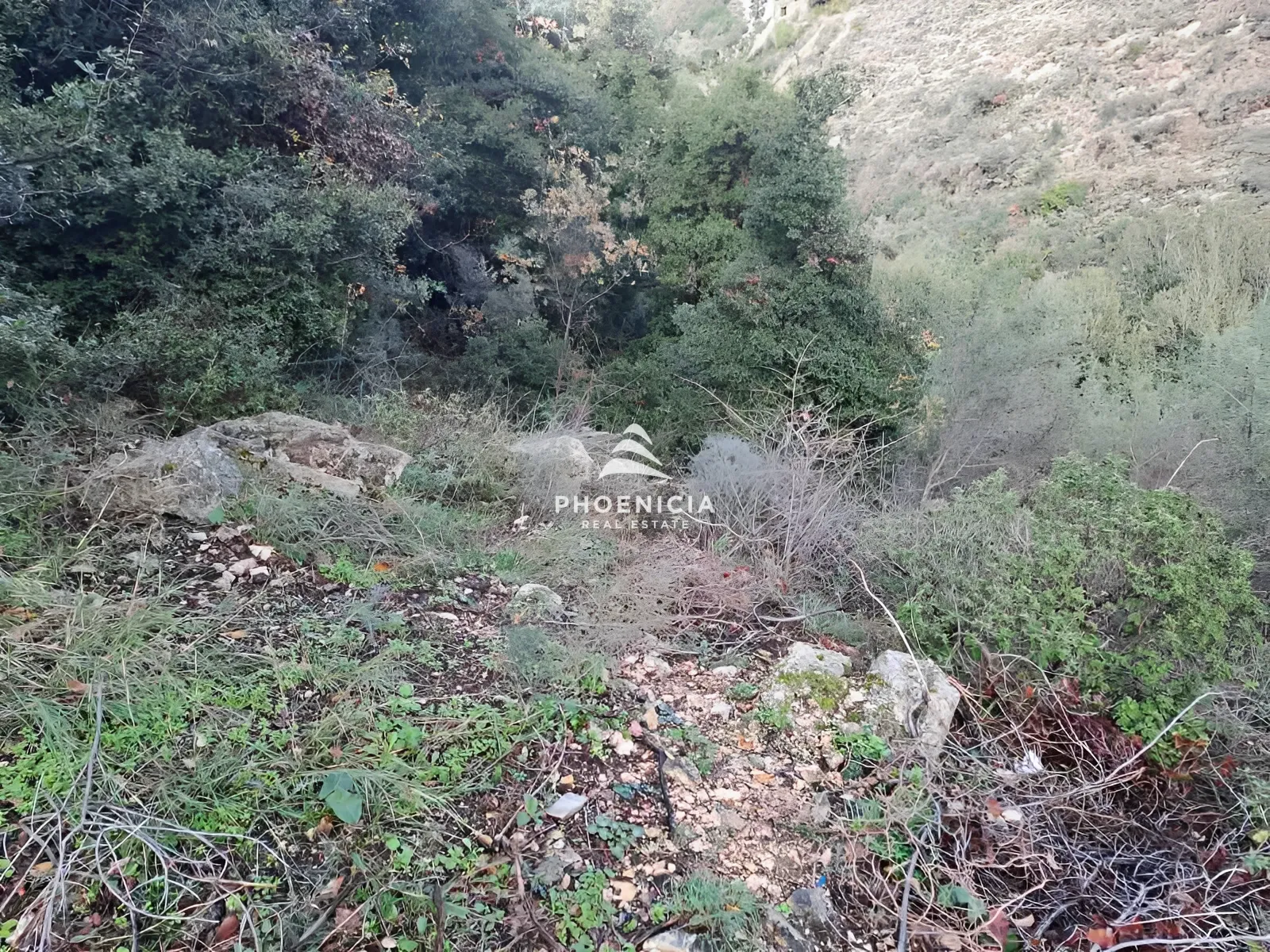 Land for Sale in Blat