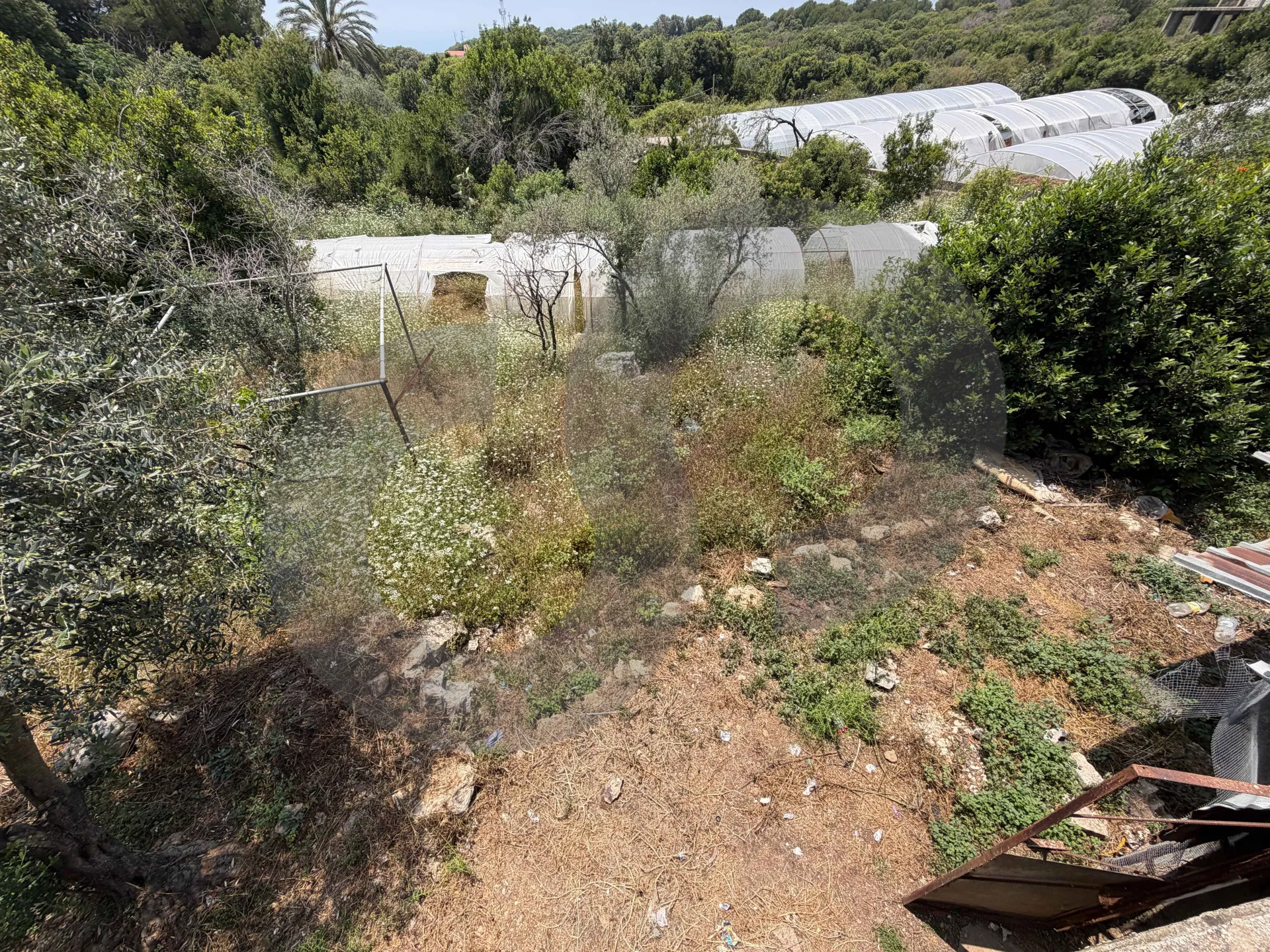 Land for Sale in Edde
