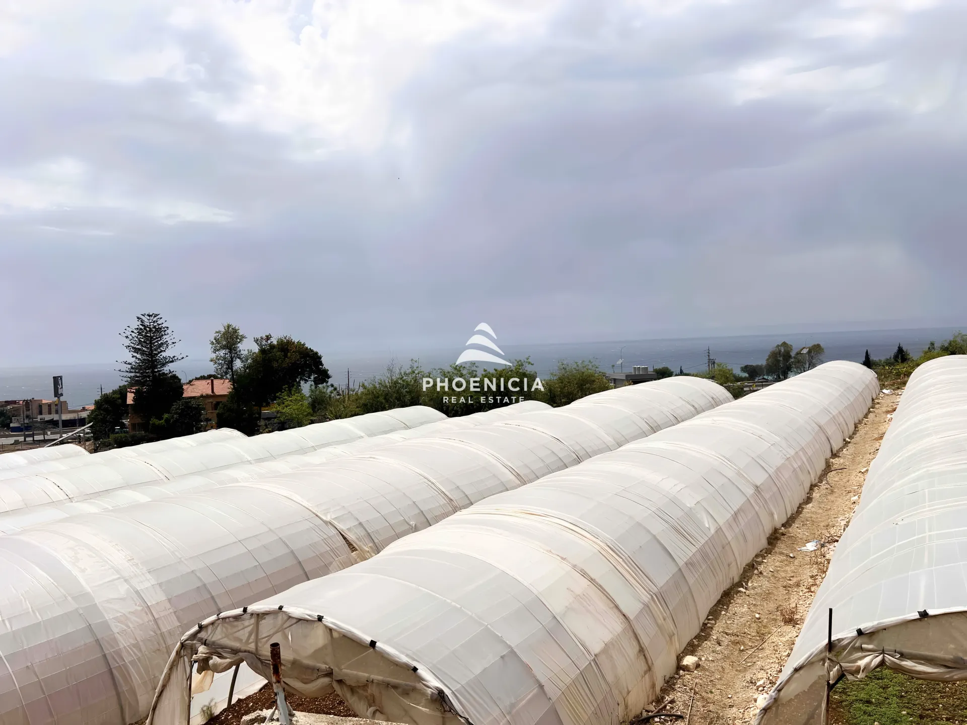 Land for Sale in Qartaboun