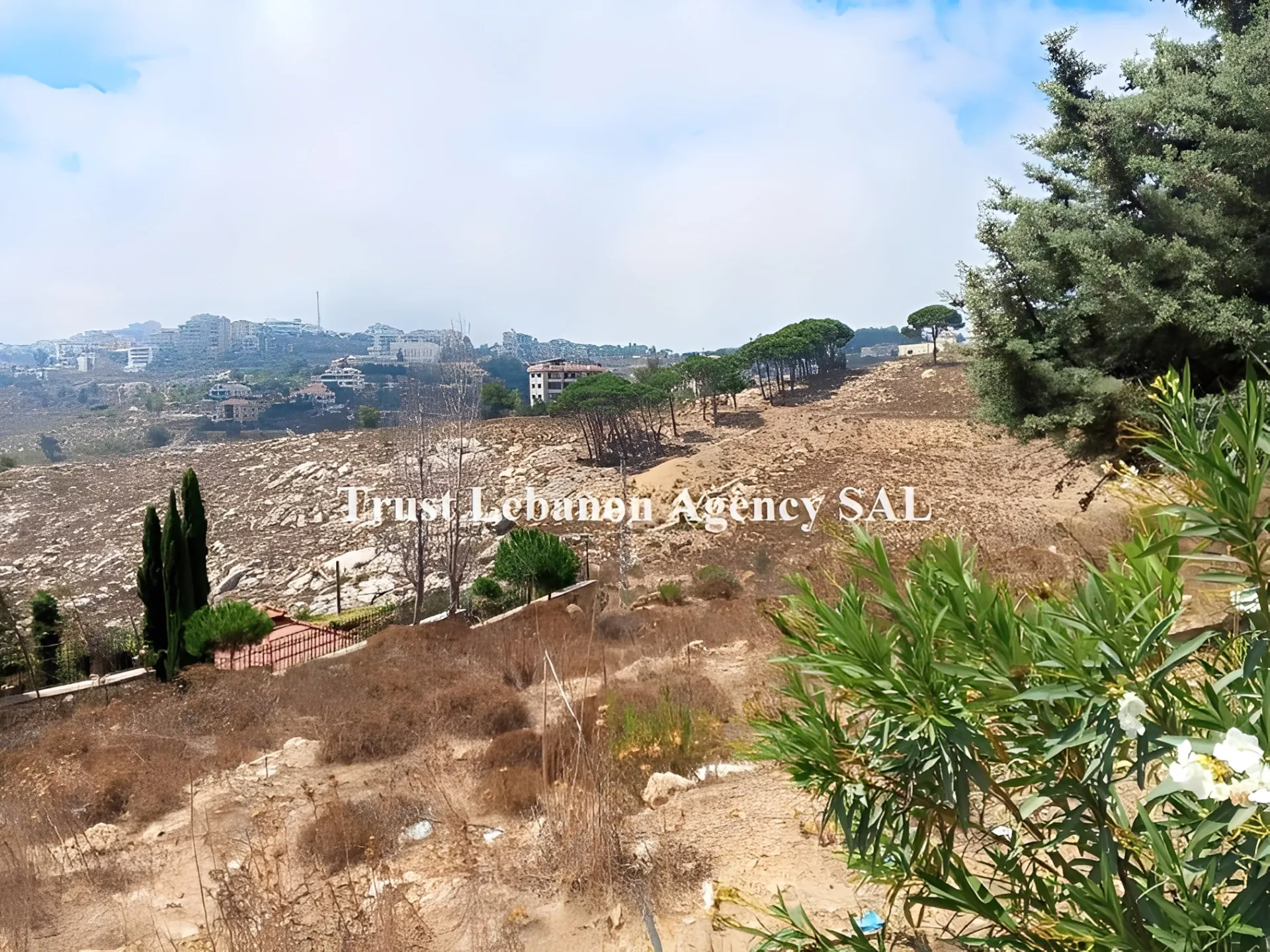 Land for Sale in Souq El Gharb