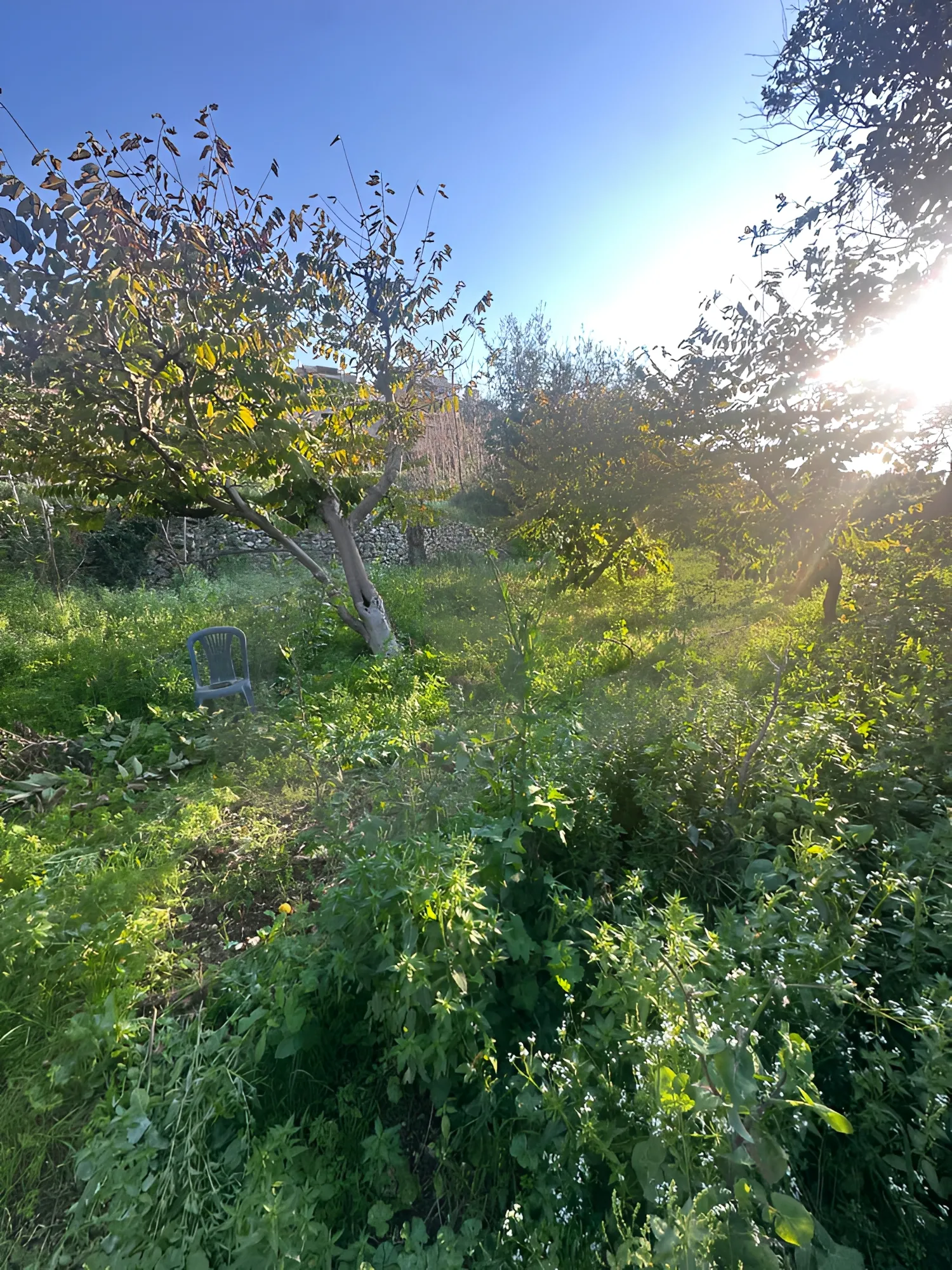 Building for Sale in Okaibeh