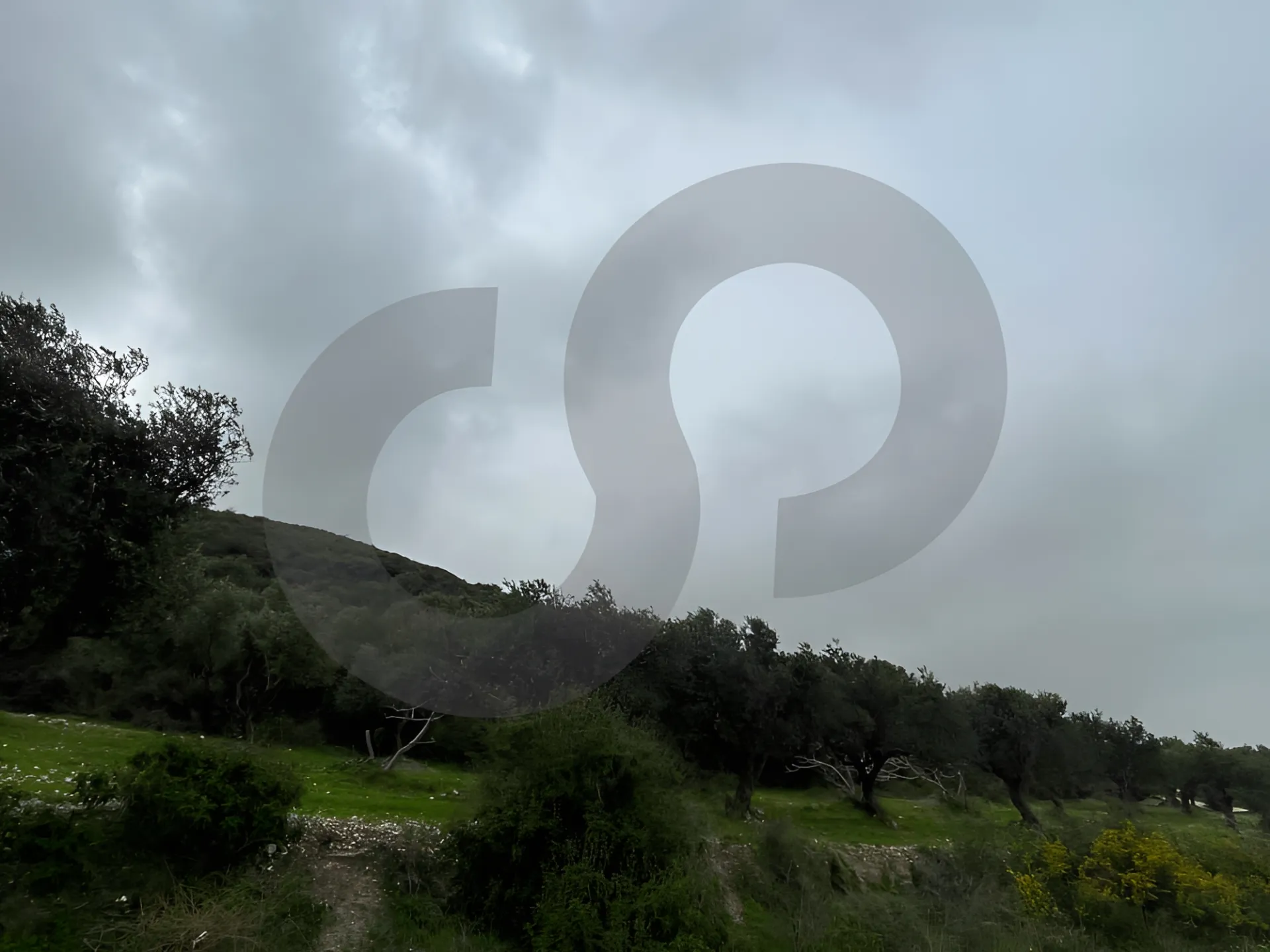 Land for Sale in Chekka
