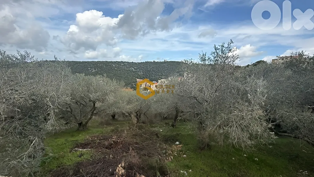 Land for Sale in Ijdabra