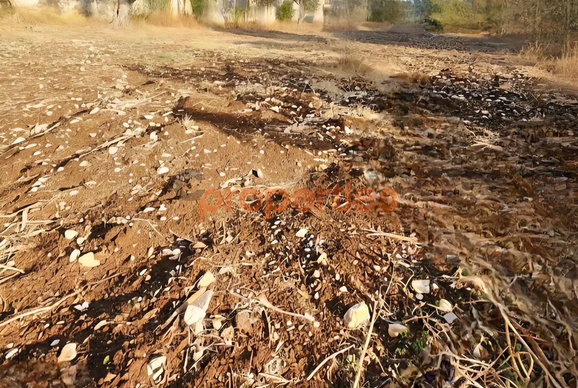 Land for Sale in Aamchit