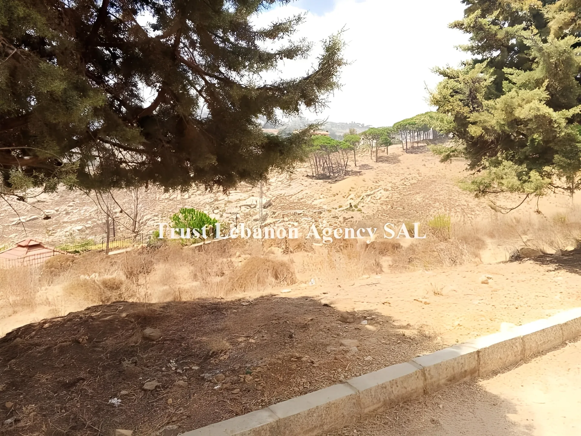Land for Sale in Souq El Gharb