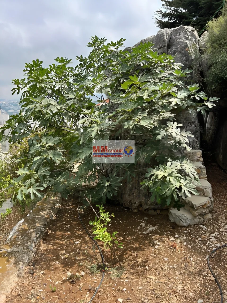 Land for Sale in Qornet El Hamra