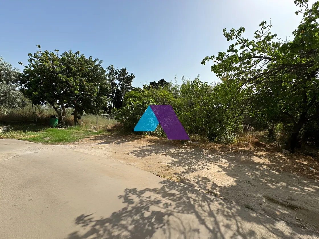 Land for Sale in Aamchit
