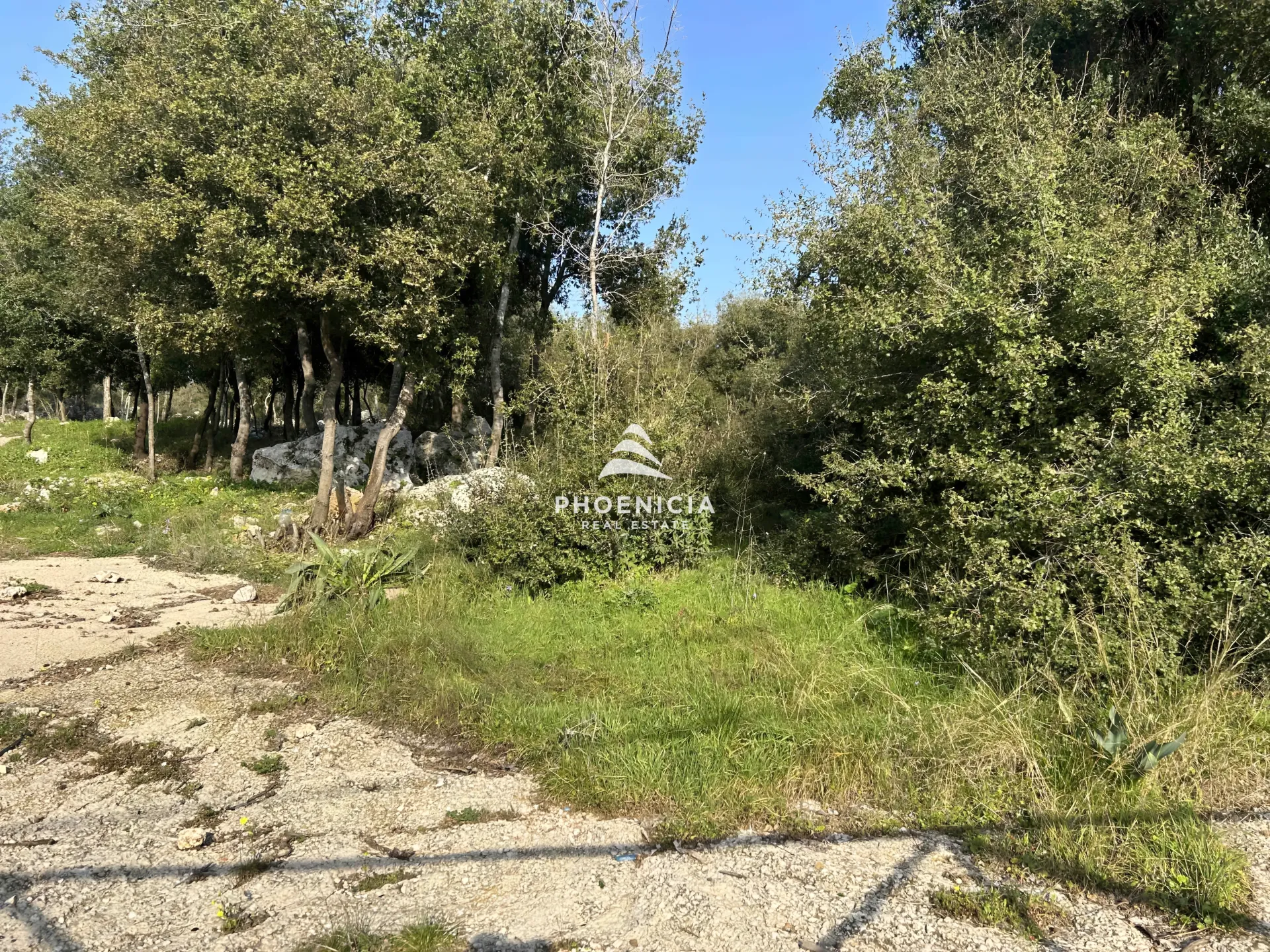 Land for Sale in Bouar, Lebanon