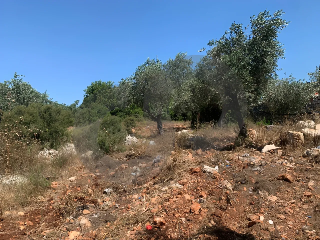 Land for Sale in Koura