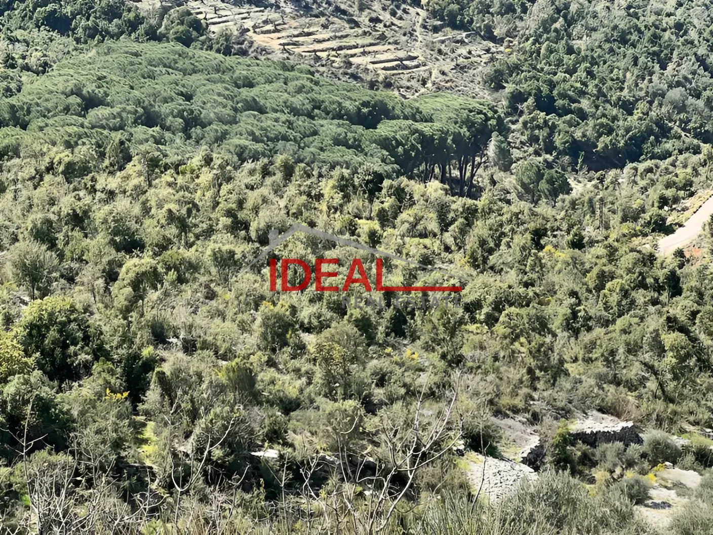 Land for Sale in Chabtine, Lebanon