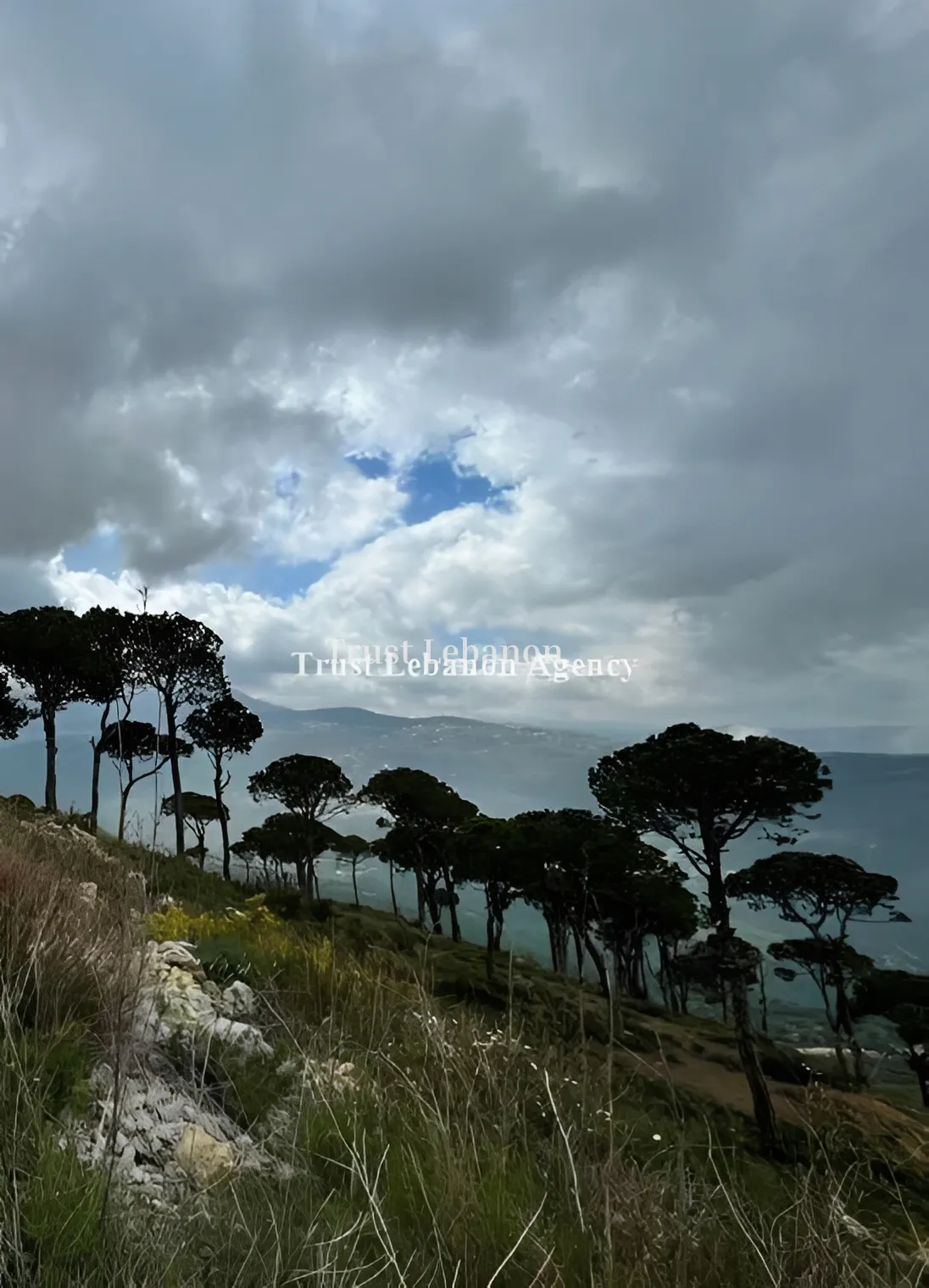 Land for sale in Qaaqour, Lebanon