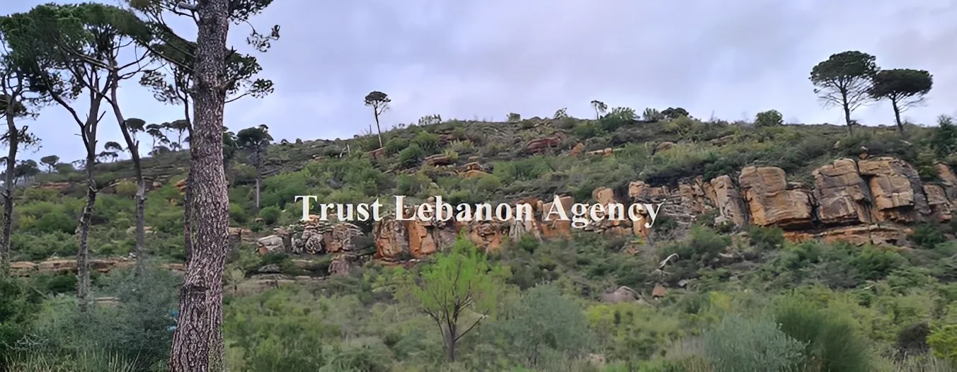 Land for Sale in Metn Al Kaakour Lebanon
