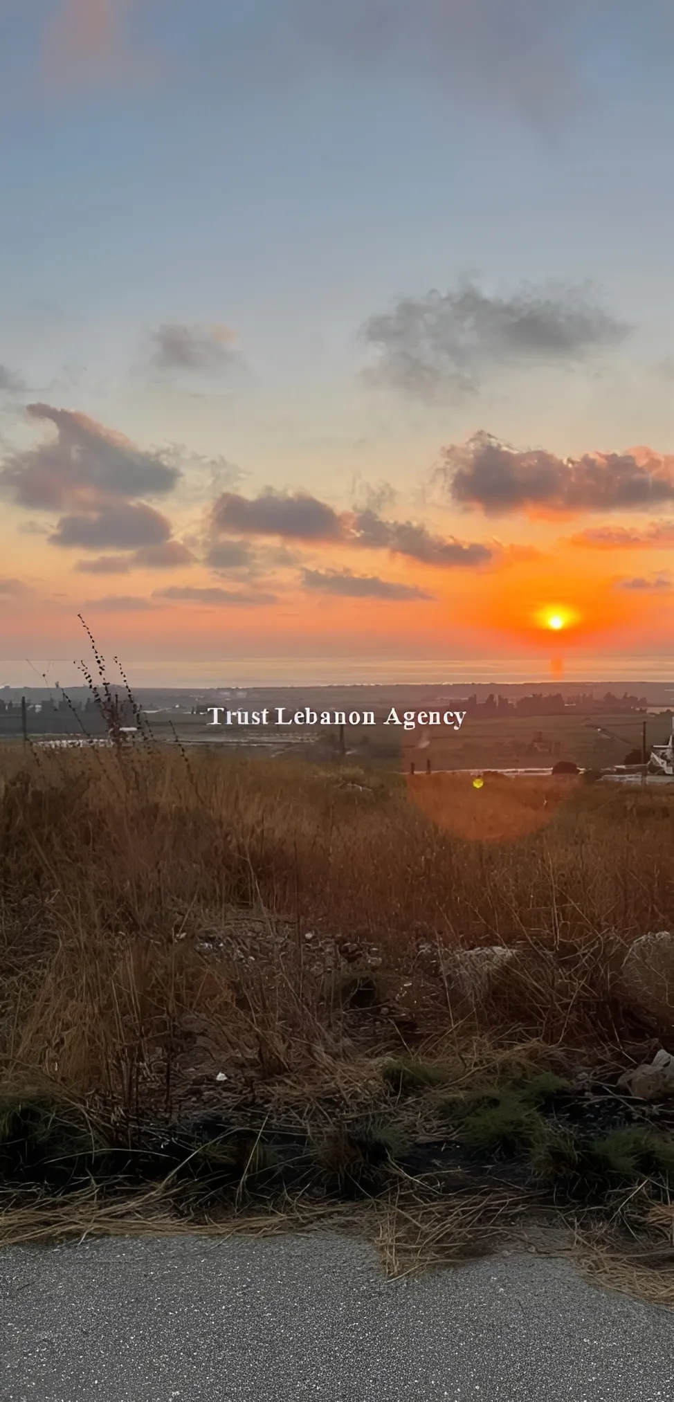 Land for Sale in Tyre