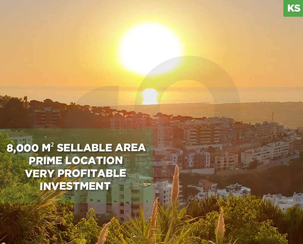 Land for Sale in Blaybel
