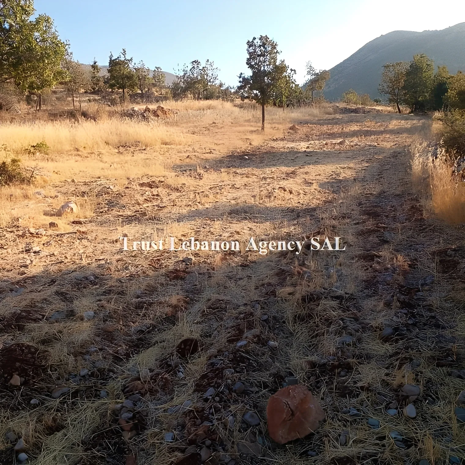 Land for Sale in Rashaya, Ain Ata