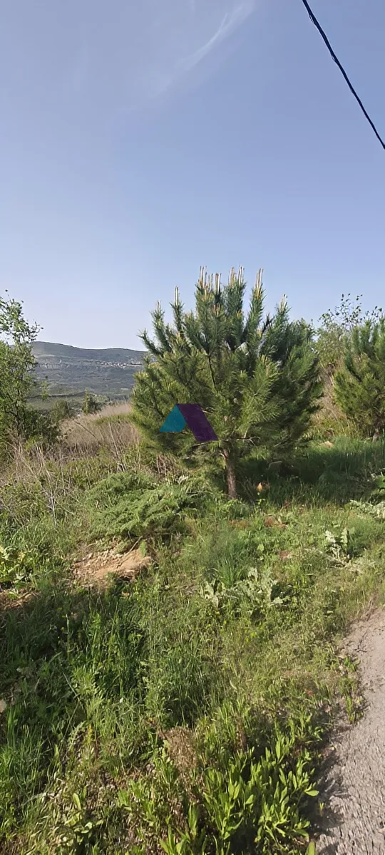 Land for Sale in Rechmaya