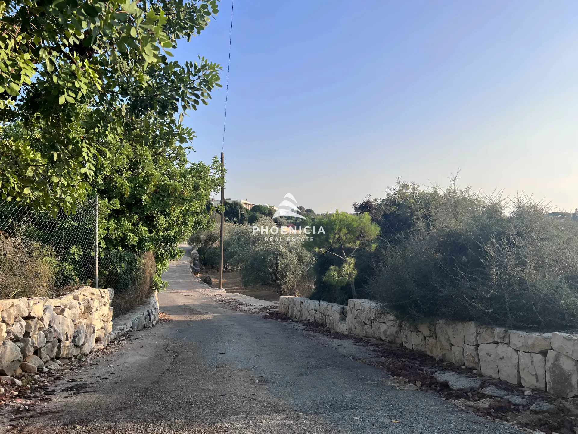 Land for Sale in Chikhane