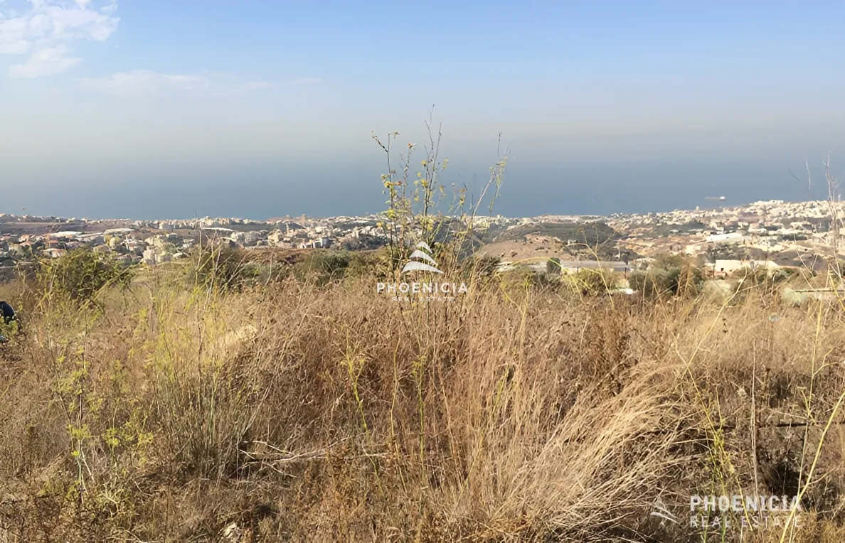 Land for Sale in Edde