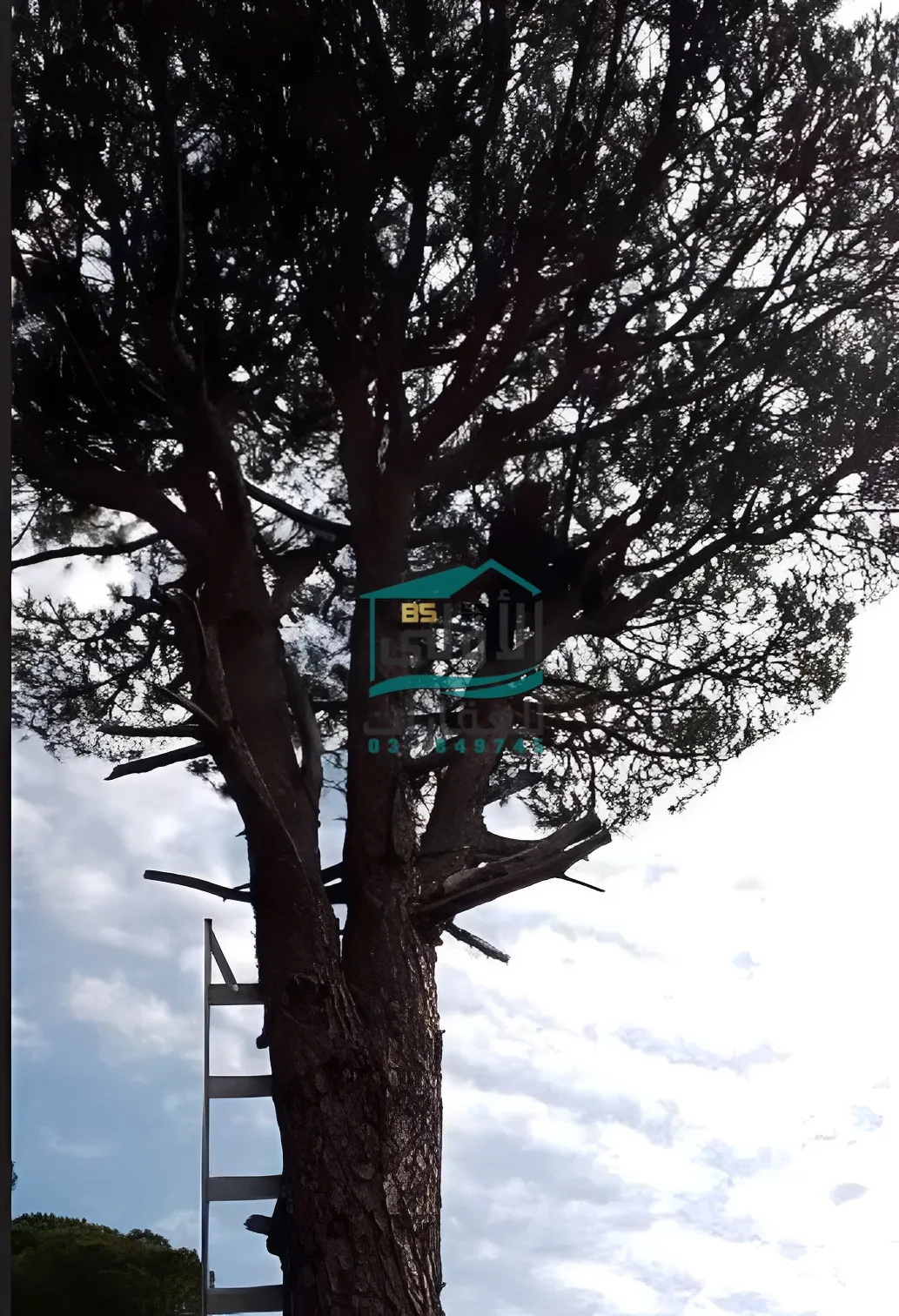 Land in الكفير، حاصبيّا، lebanon