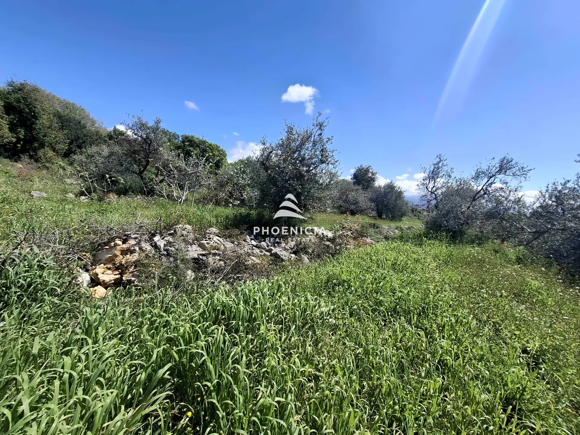 Land for Sale in Monsef