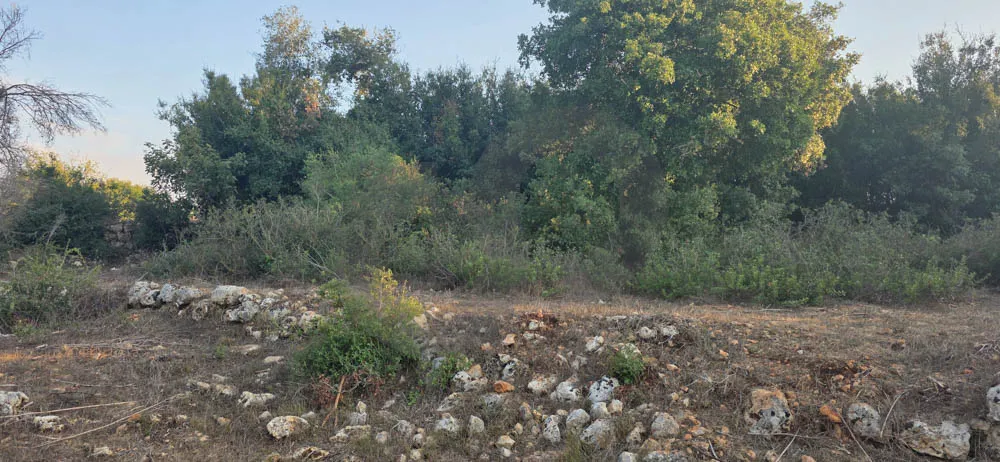 Land for Sale in Koura