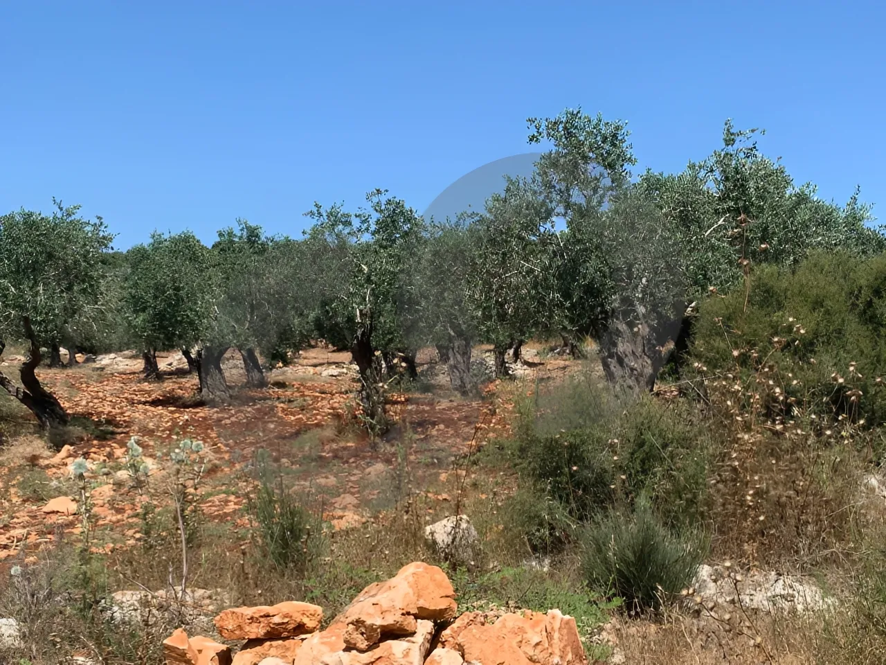 Land for Sale in Koura
