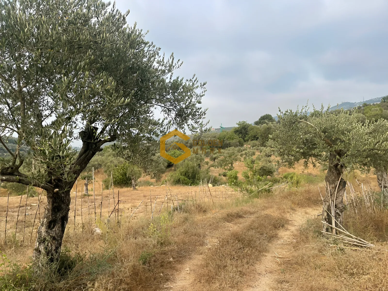 Land for Sale in Majdal