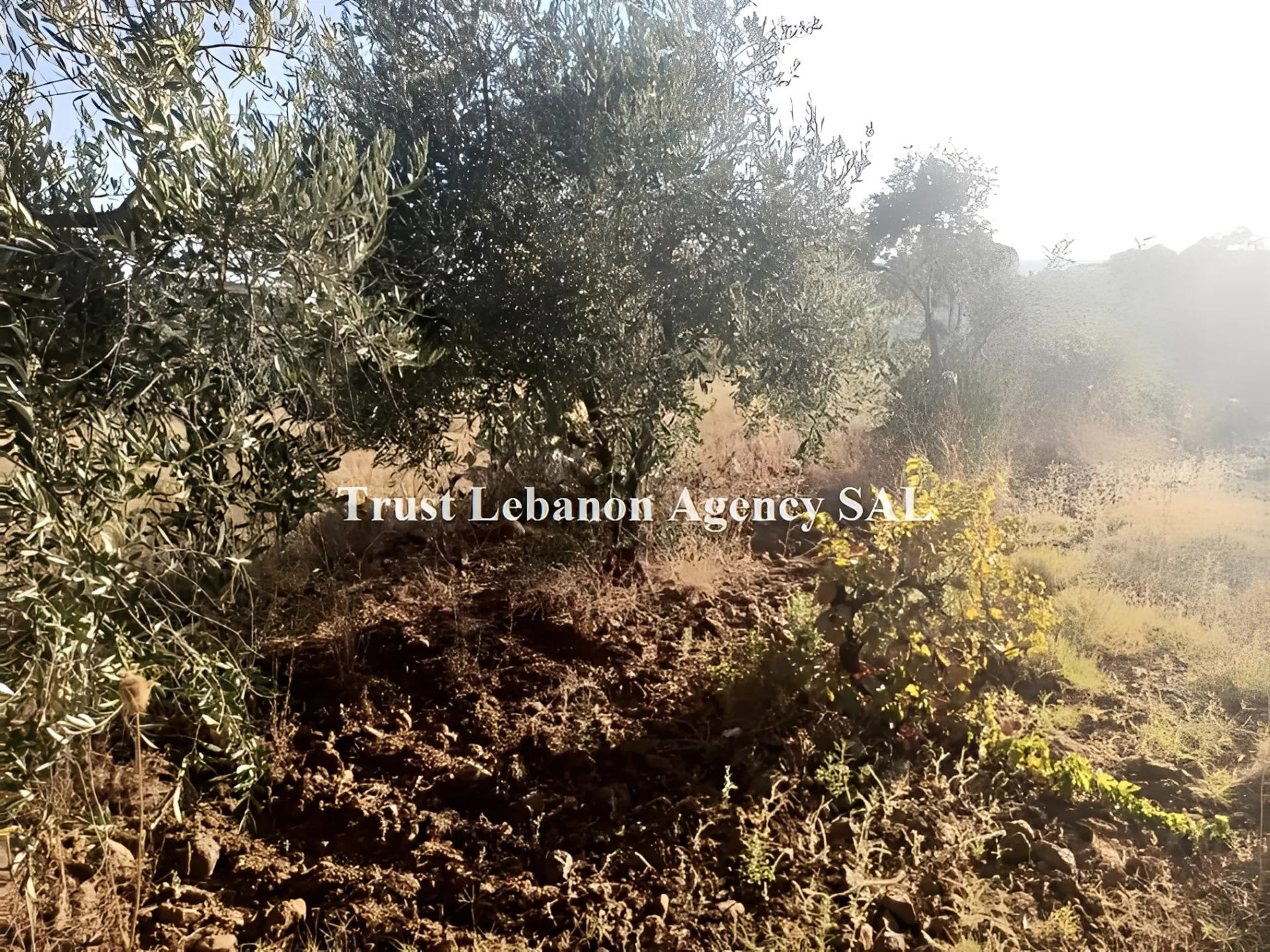Land for Sale in Hasbaya Lebanon