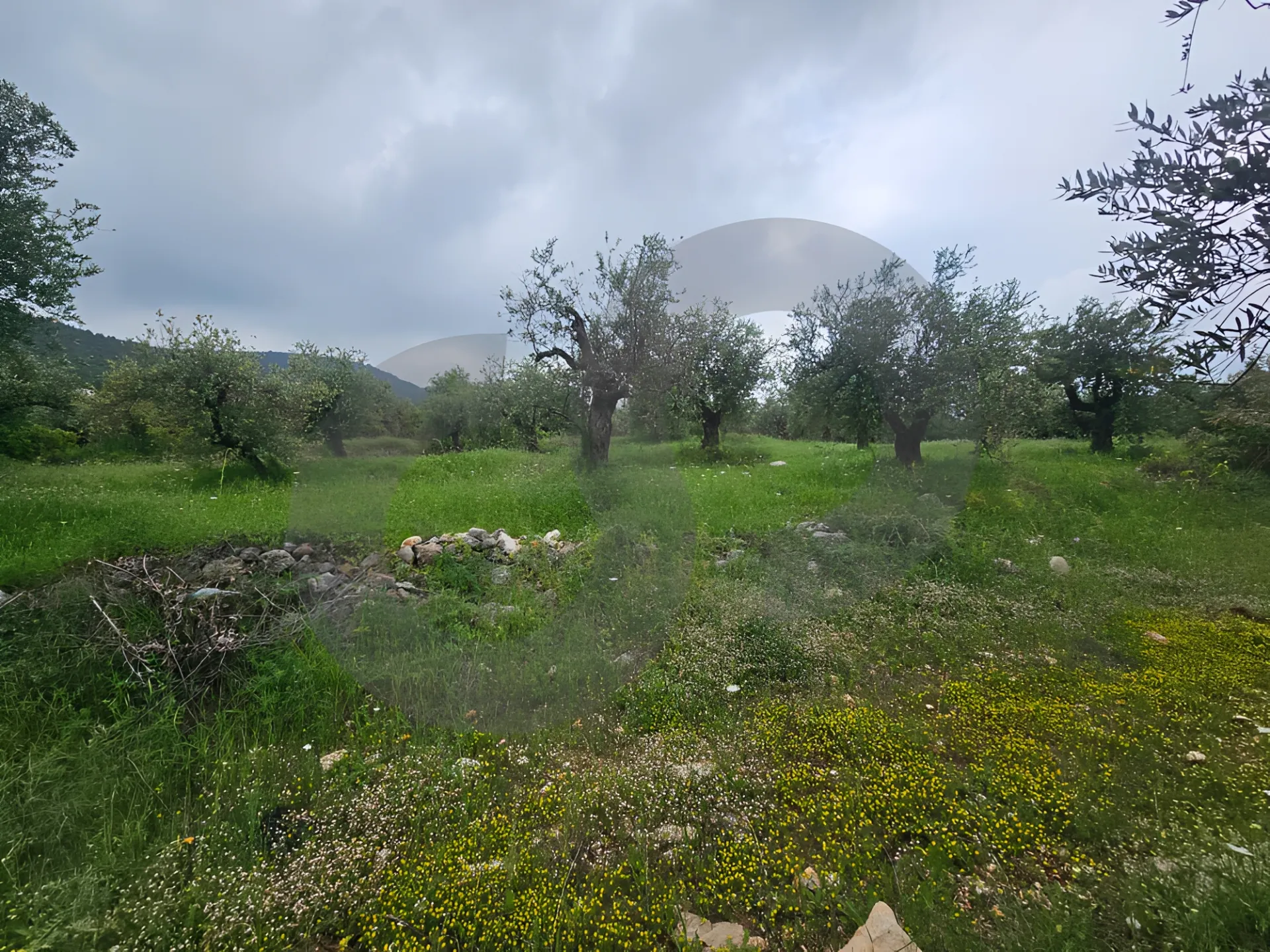 Land for Sale in Zgharta