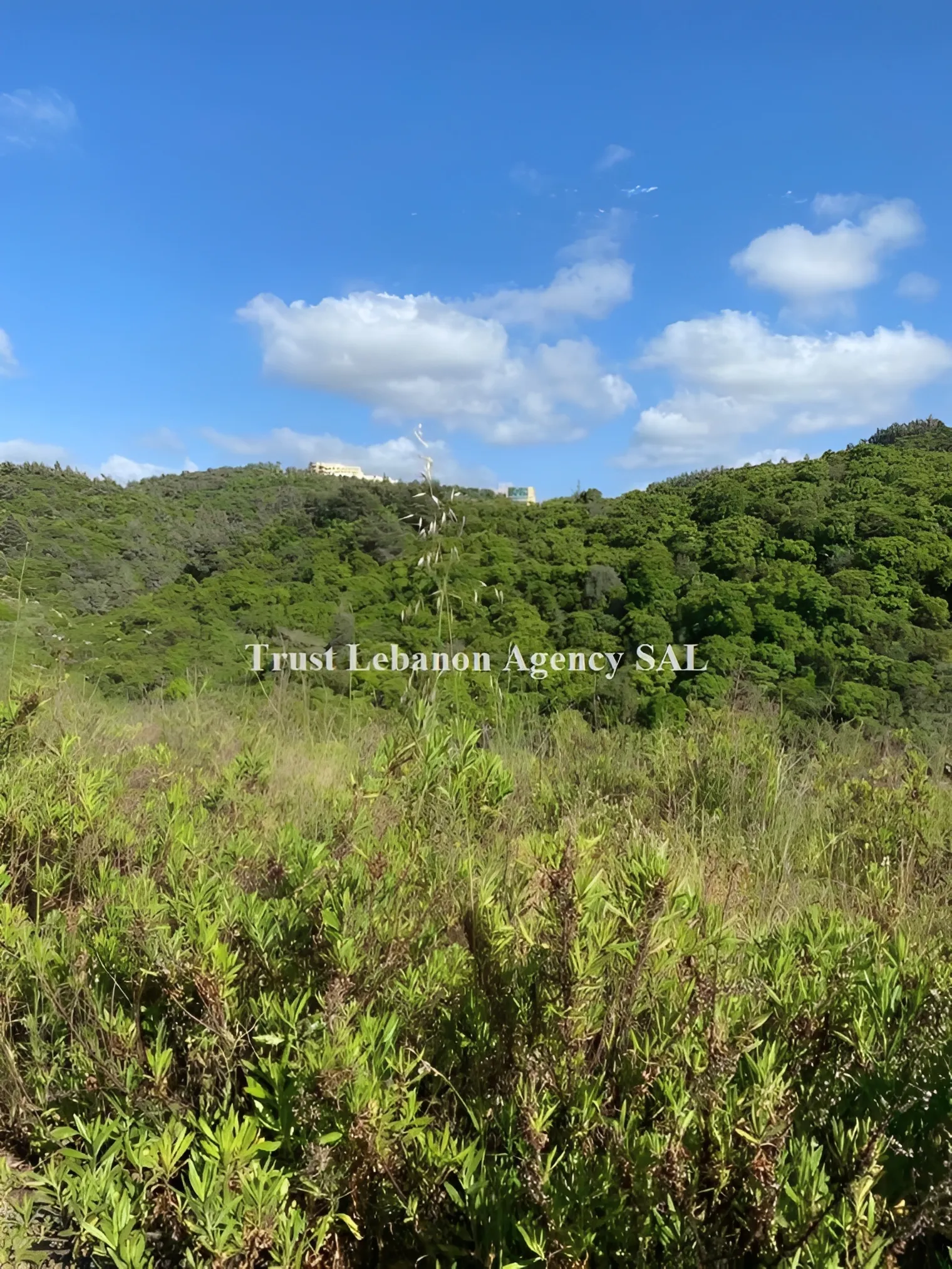 Land for Sale in Chouf Daher Al Maghara