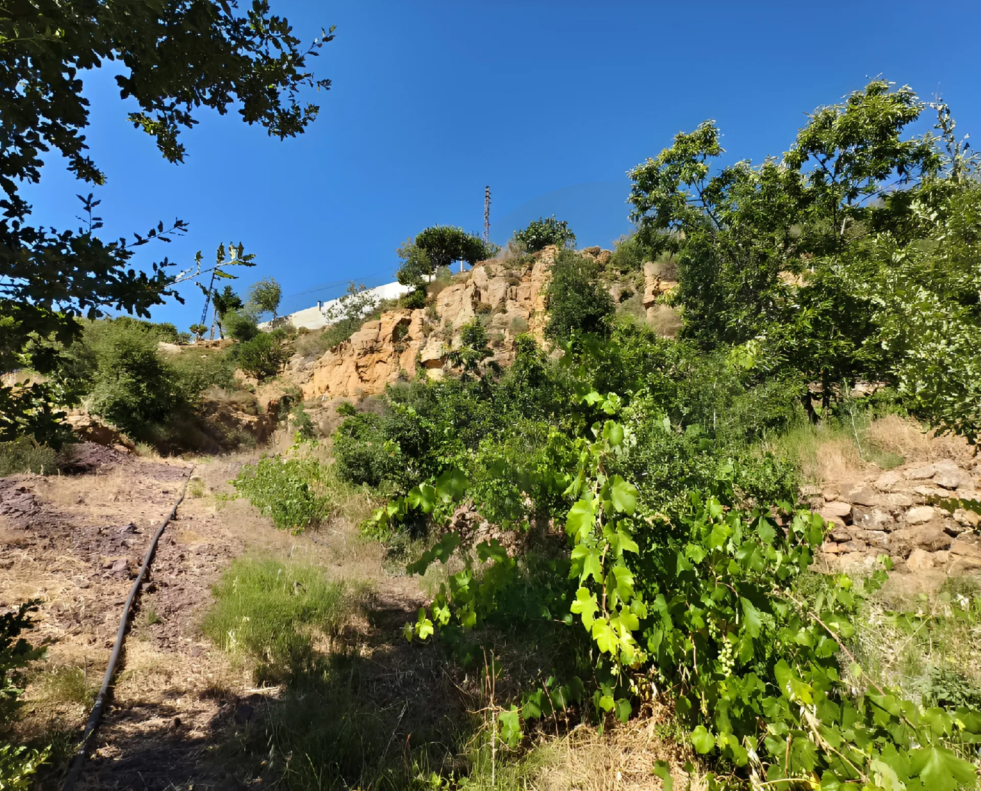 Land for Sale in Zgharta