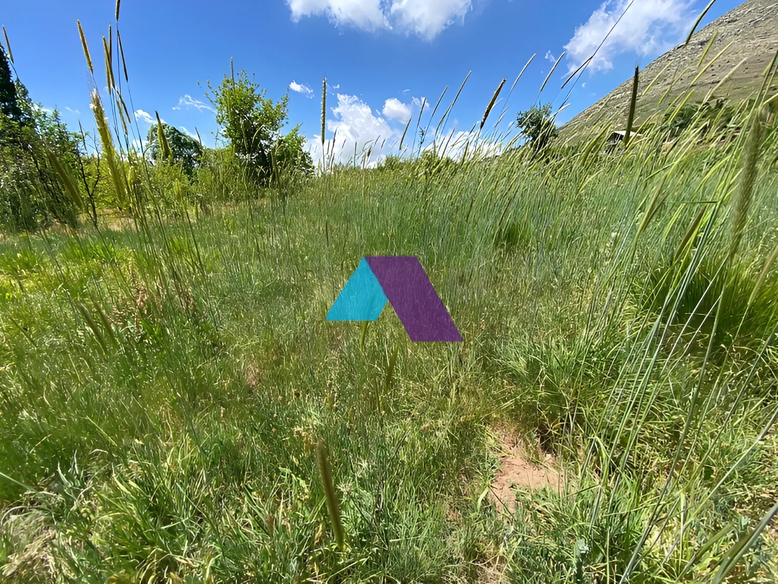 Land for Sale in Faraya