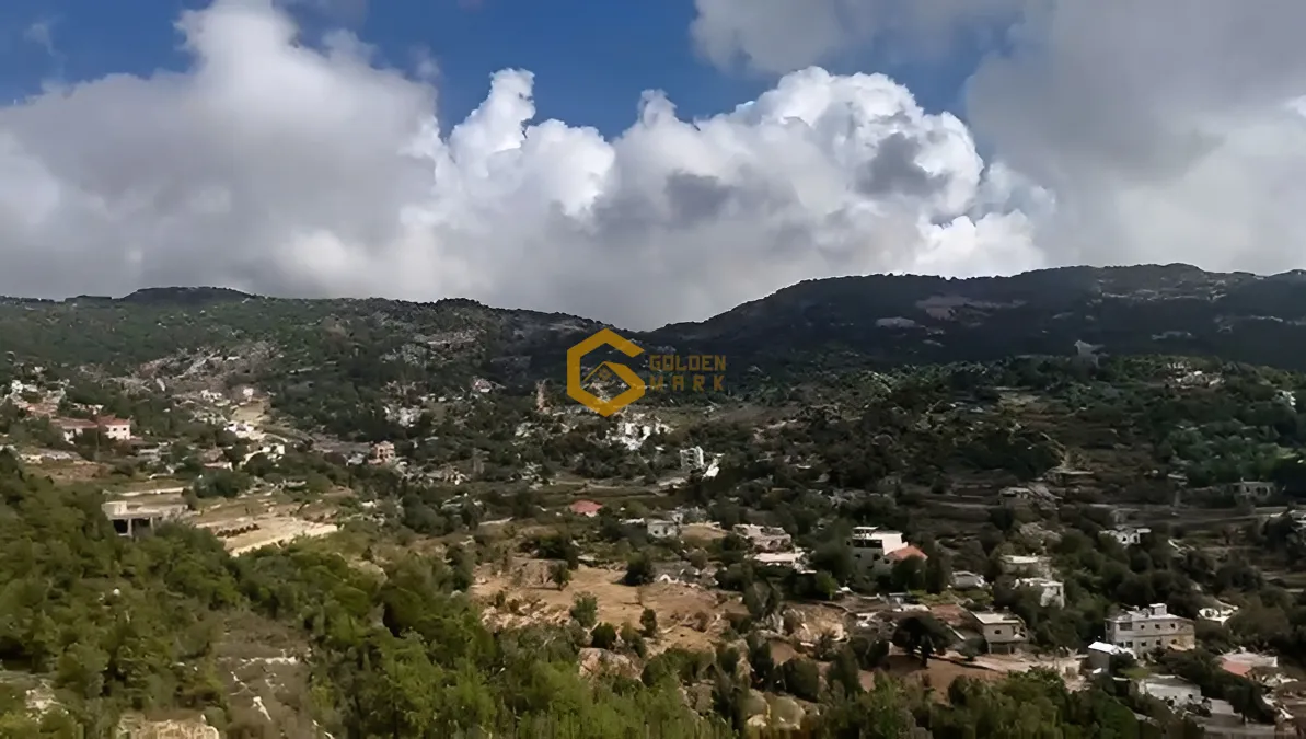 Land for Sale in Mechmech