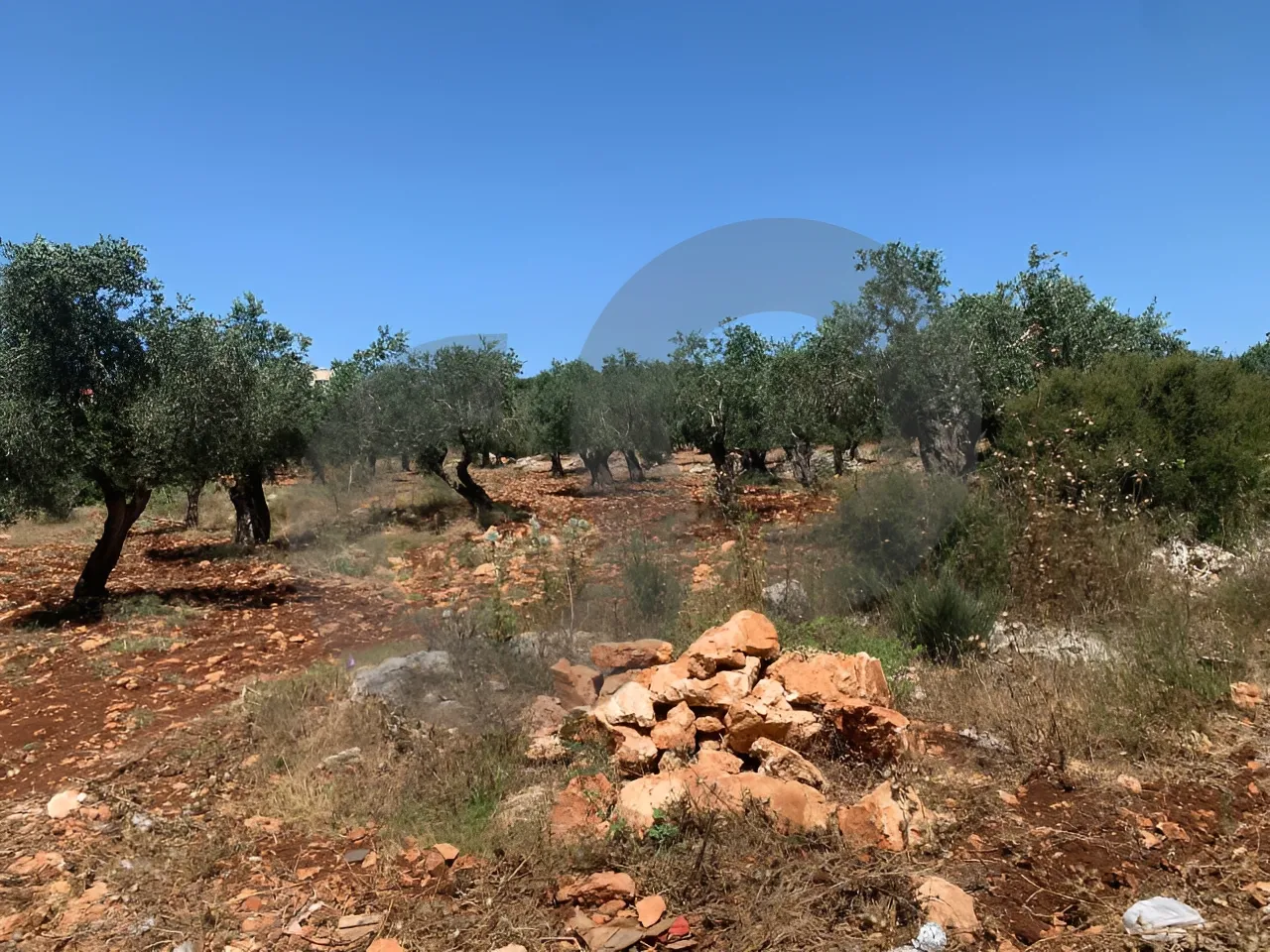 Land for Sale in Koura