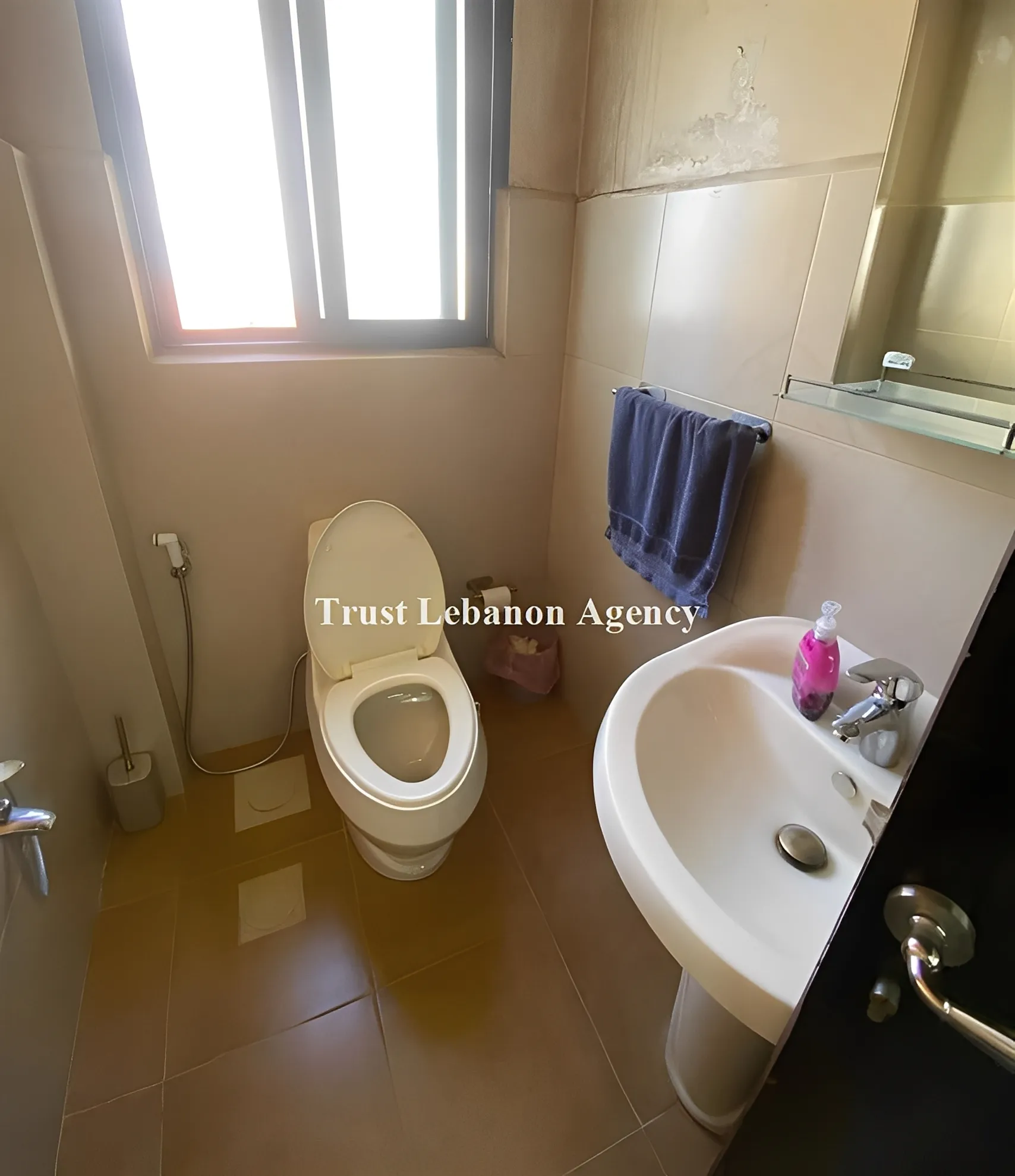 Apartment for Sale in Metn Dhour Al Chweir Lebanon