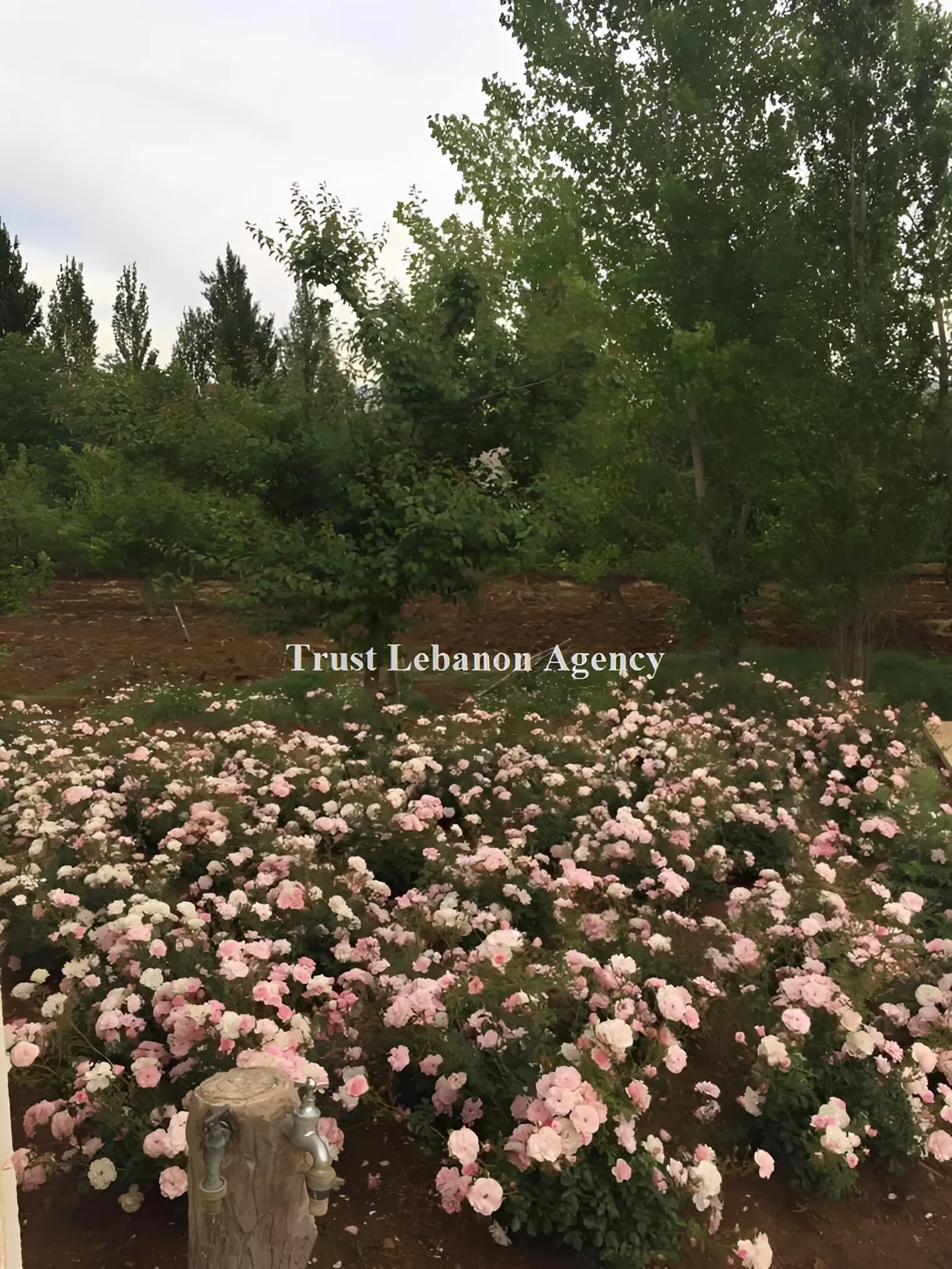Villa for Sale in Zahle