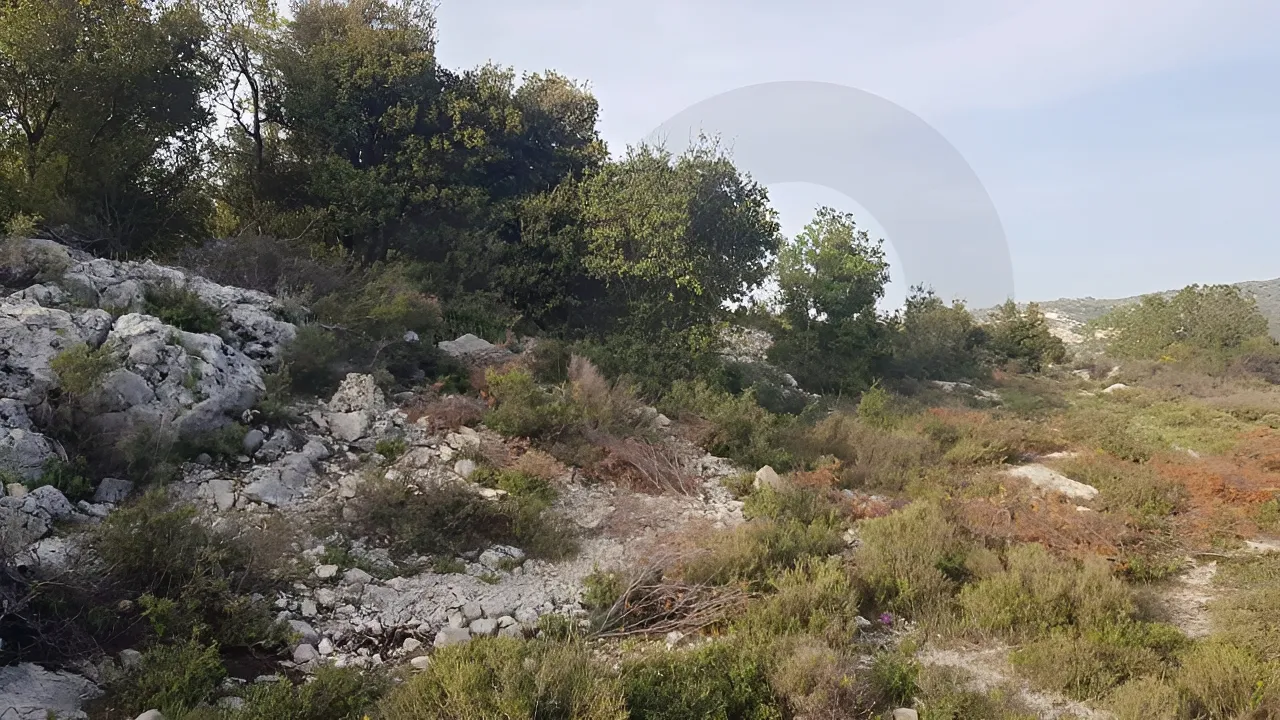 Land for Sale in Lehfed