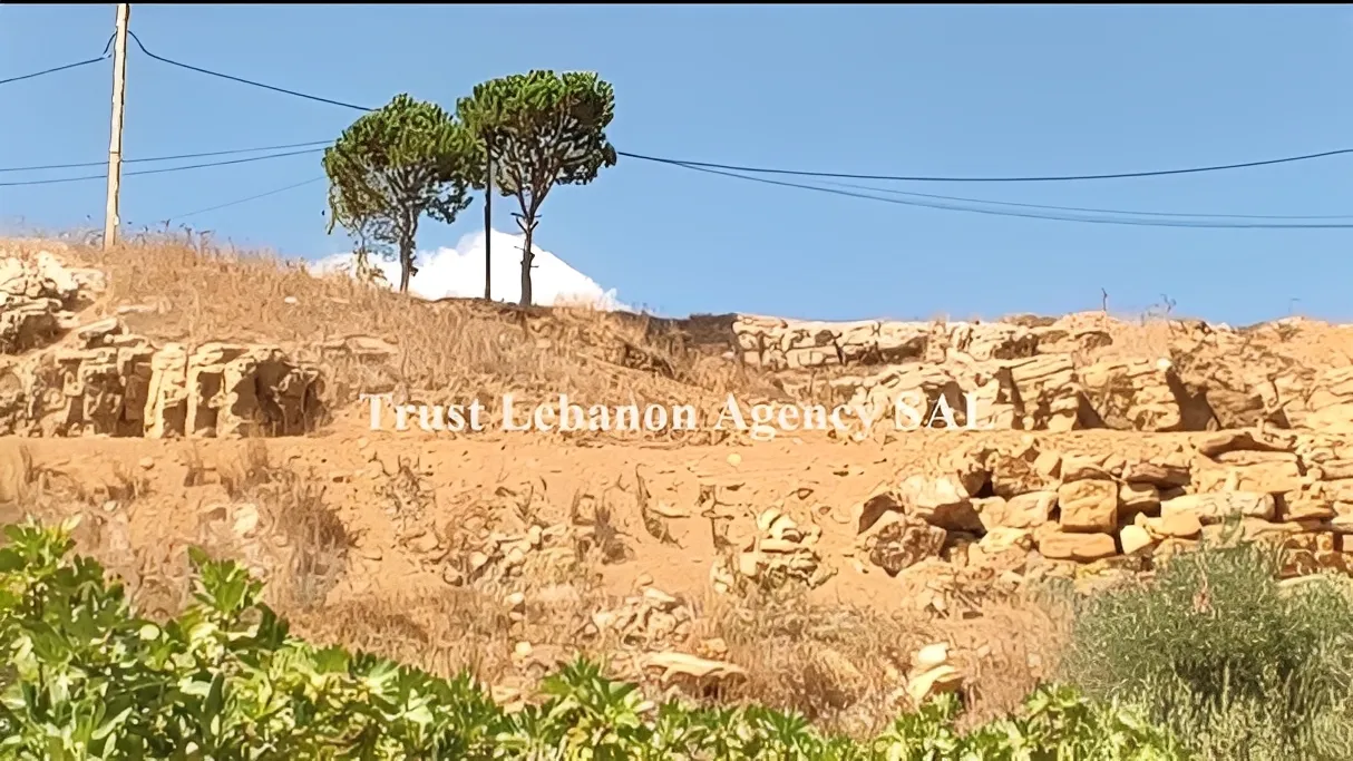 Land for Sale in Alay, Sawfar