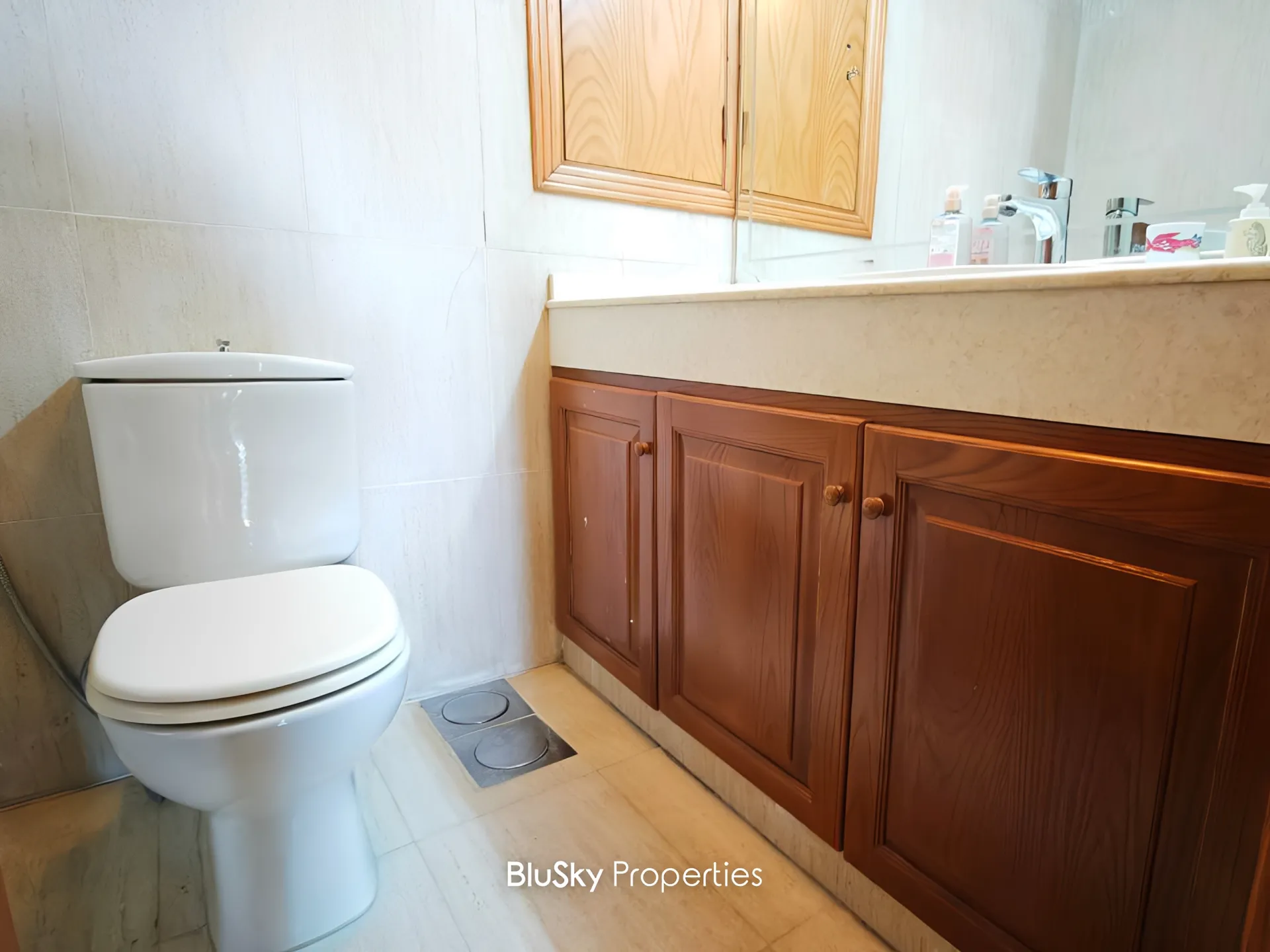 Apartment for sale in Mar chaaya, lebanon