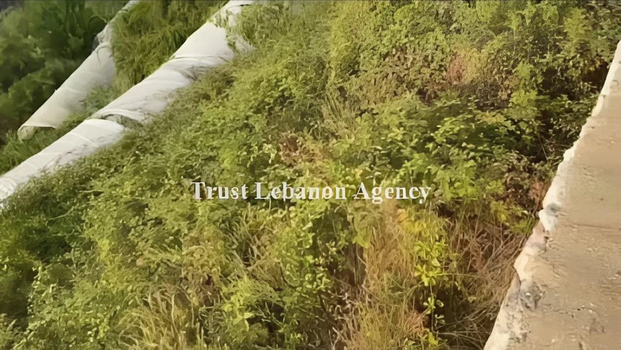 Land for Sale in Jbeil Lebanon