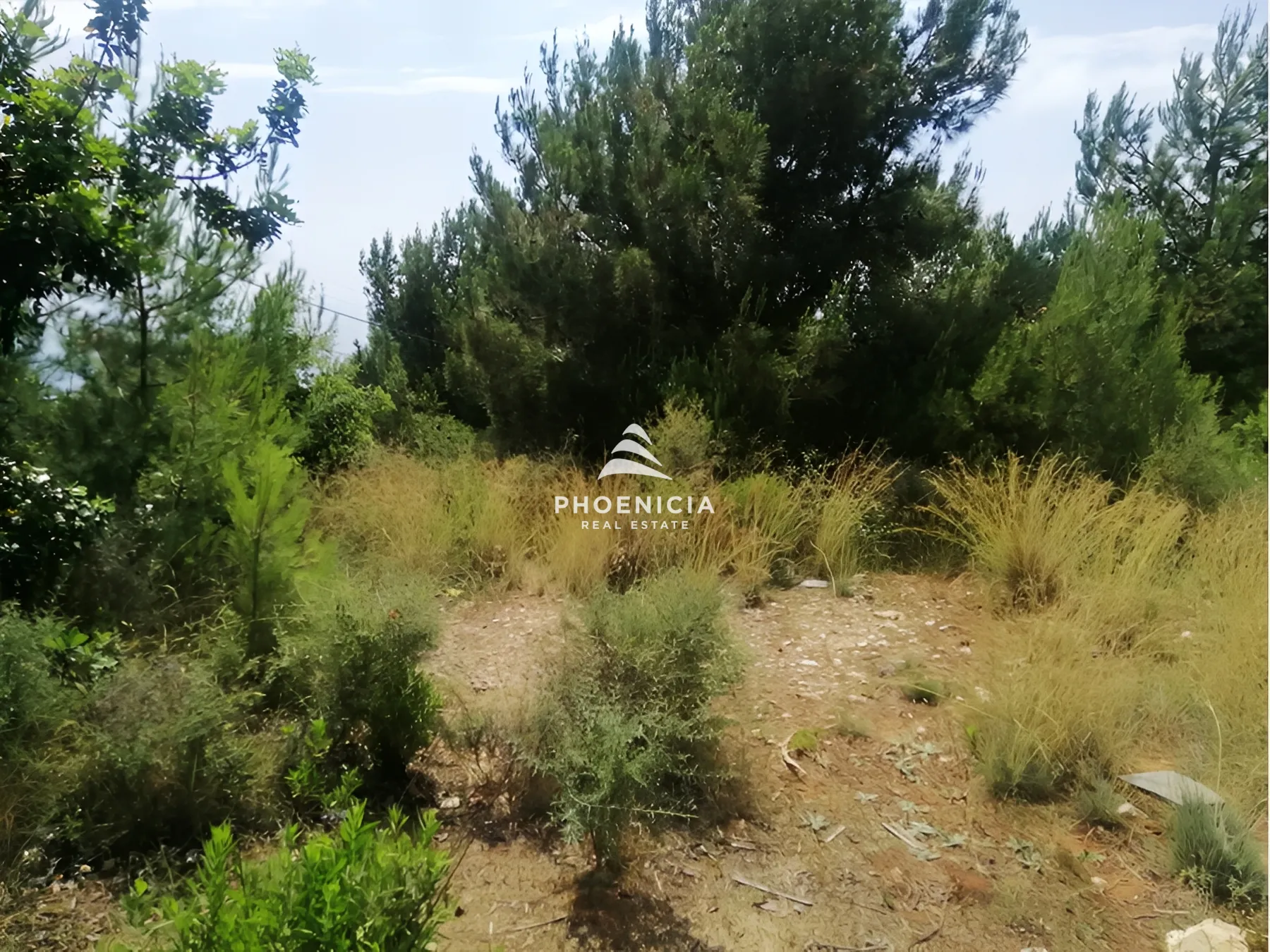 Land for Sale in Blat