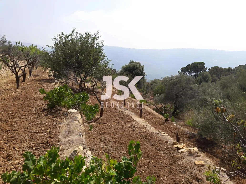 Land for Sale in Qaaqour, Lebanon