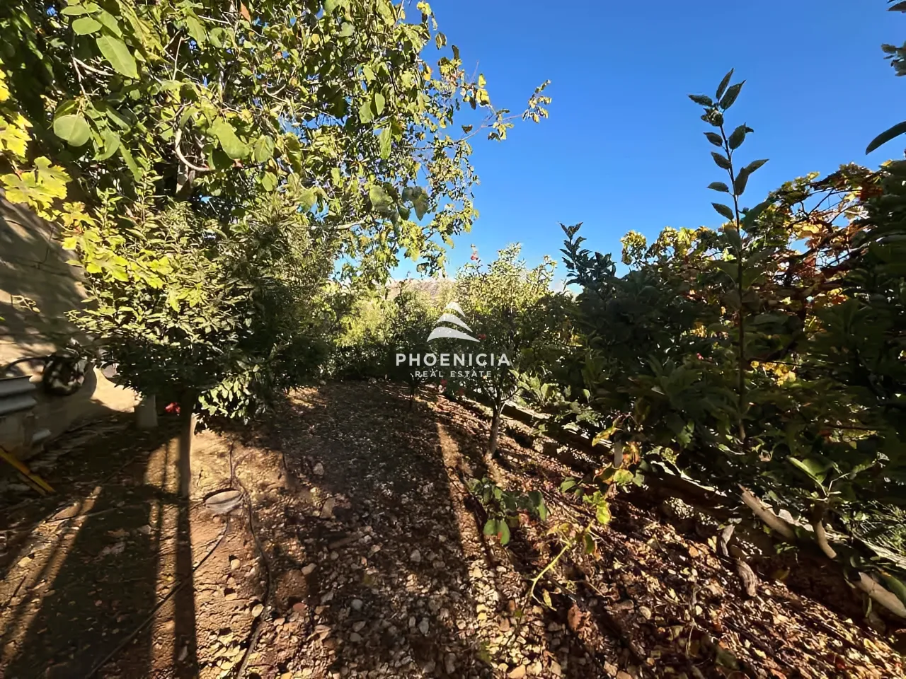 Villa for Sale in Kfardebian