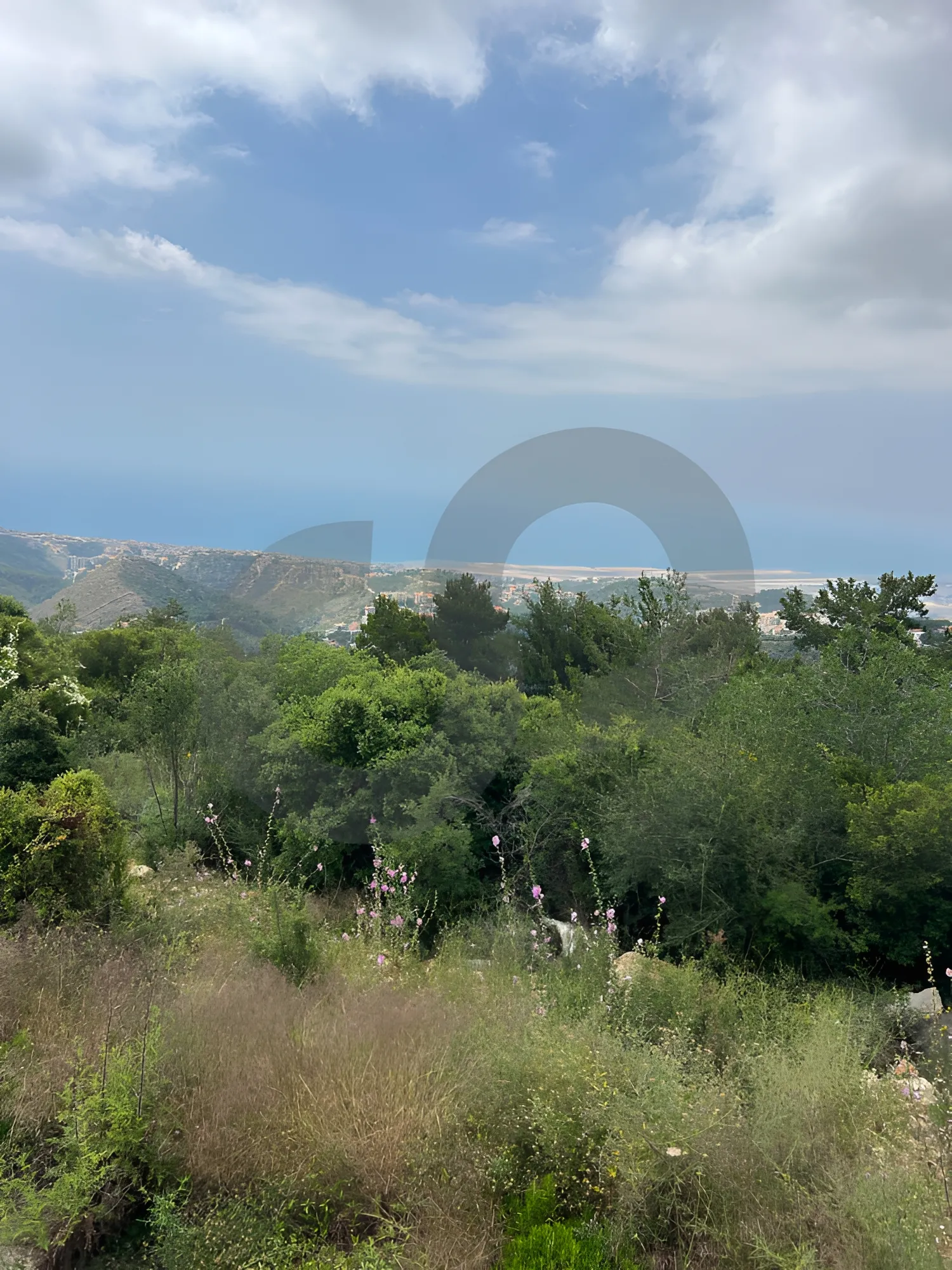 Land for Sale in Ainab