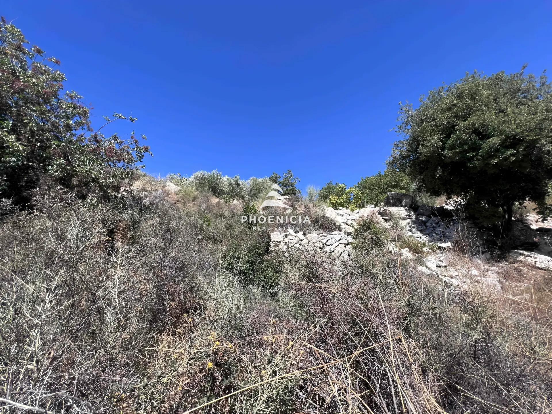 Land for Sale in Maifouq