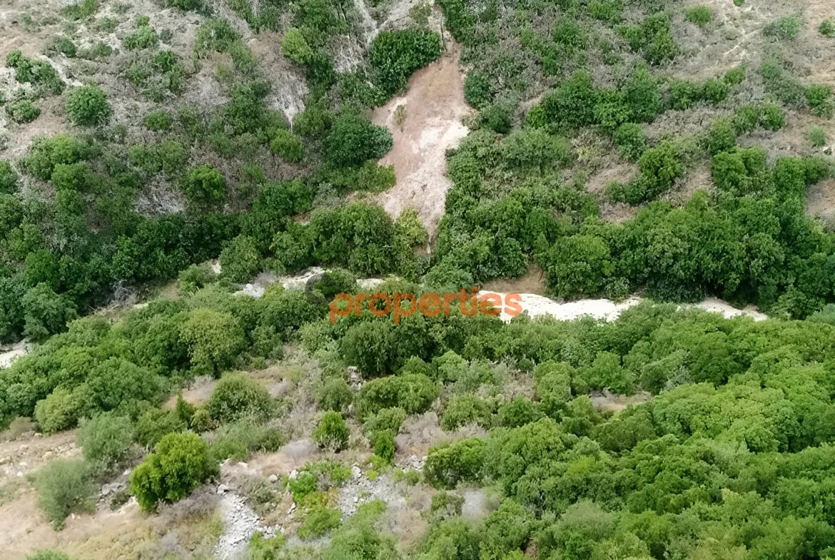 Land for Sale in Habboub