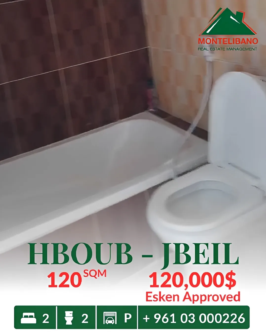 Apartment for sale in Habboub, Lebanon