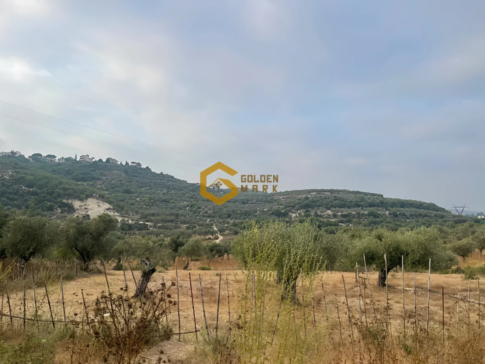 Land for Sale in Majdal